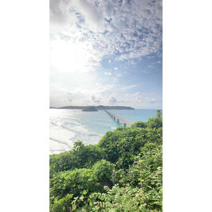 山口　角島大橋

綺麗な海と空と橋のコラボは絶景
念願の角島大橋に行ってきました