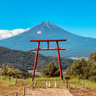 川口浅間神社　天空の鳥居