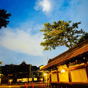 夜の神社もステキでした✨
八坂神社また行きたい☆