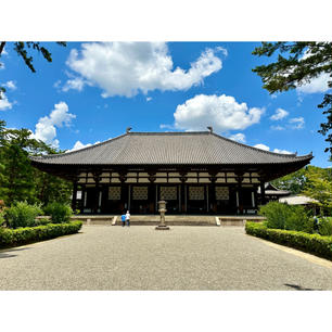 奈良
唐招提寺
国宝　金堂
まさに、「天平の甍」
蓮の花も咲いていました。
また、鑑真和上御廟の近くには美しい苔が生えており、降り注ぐ光により幻想的な光景となっていました。今日は、本当に暑い一日でしたが、行って良かったなぁと思うことができました。