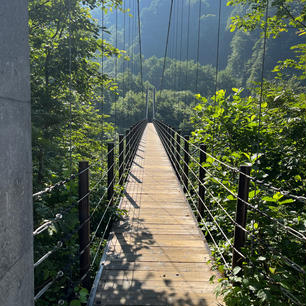 7月29日　白山
なかなかハードだけど無事登頂
景色良し、道良しのすごい山だった！
2回目もぜひ行きたい！