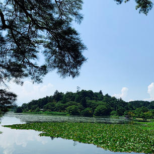 南湖公園 福島県