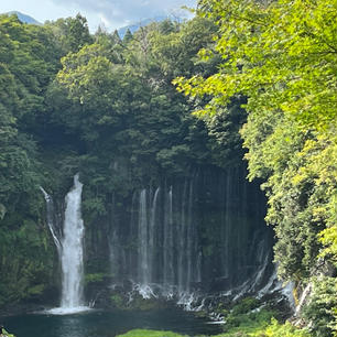 18年ぶりの白糸の滝　すっかり観光地化され、SNSのおかげか外国人客もたくさん。
マイナスイオンもた〜っぷり。