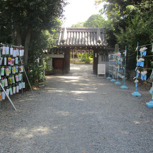 水無月神宮の五右衛門の手形　(大阪府)

後鳥羽上皇ゆかりの水無瀬神宮（みなせじんぐう）の入口、神門（薬医門）の右柱にあります。安土桃山時代の大盗賊・石川五右衛門が、神宝の太刀を盗もうとして数日竹やぶの中に潜み、忍び入ろうとしたが、足がすくんで門内に入れず、門柱に自分の手形を押して立ち去ったと伝わります。

#サント船長の写真　#水無月神宮