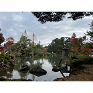 兼六園🍁

紅葉が綺麗だった昼間の兼六園。
夜の兼六園は荘厳だった。

#石川#金沢