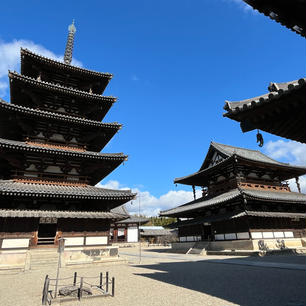 法隆寺

聖徳太子ゆかりの寺院。
辰年なので金堂の柱にある龍の彫刻を見に行きました。
2024.1.8