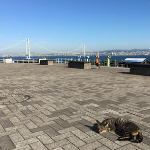 明石海峡大橋🐈