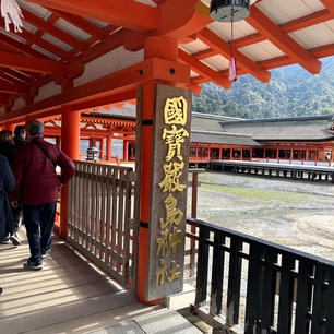 今日は広島へ。厳島神社、原爆ドームなど広島を堪能です。