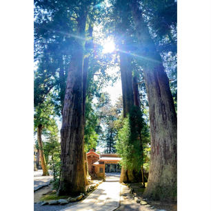 石川　白山ひめ神社

参道が素敵