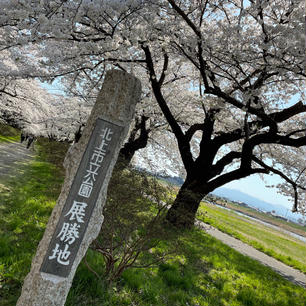 【岩手県・展勝地】

2022年4月20日

#岩手県　#北上市　#展勝地　#さくらまつり