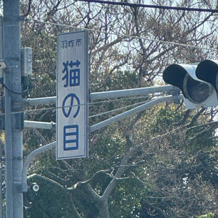 猫の目の交差点

此処は、羽咋市の「猫の目」と言う地方の交差点です。何の変哲も無いし、交通量も少ない交差点で「猫の目」と言う名前が珍しいだけです、「何が名所だ！バカにするな！」と言わず、投稿する、勇気と根性に「いいね」をお願いします♪
「いいね」を頂いた方様には必ず、目に見えるカタチで御返しをします🙇

#サント船長の写真