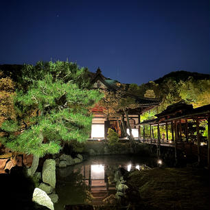 〜京都　高台寺　夜の特別拝観〜

桜は終わってしまったけど、ライトアップされて新緑を味わえた🌳
ゴールデンウィーク真っ只中だけど、あんまり人もいなくてゆっくり拝観できました
結構穴場かも！(5/6までみたいです)