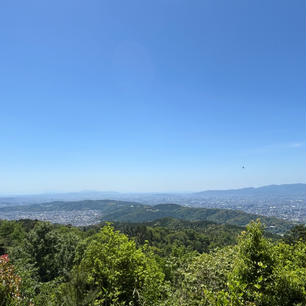 大文字山

京都五山の送り火
大の字が火に灯る事で有名な山。
絶景を見に山頂へ、清々しくて気持ちよかったです。
2024.5.11