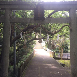 潮御崎神社
和歌山県東牟婁郡串本町潮岬
殆ど人が来ないと思います。
やたらと静まり、此の神社に人が来るのかなと思います。

誰かの書き込みにお賽銭を5円入れたら戻ってきた、のでまた入れたら、また戻って来たと書いて有りましたが、コレは神様も少なく過ぎると言って居ますね(笑)参拝者が少ない神社です、願い事も可成り聞いて貰えますにで、お賽銭は奮発しましょう、お賽銭は必ず自分の元に帰りますから。
本州最南端の神社

#サント船長の写真　#こんな所に