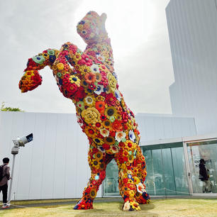 十和田市現代美術館