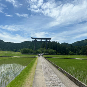 大斎原（おおゆのはら）
和歌山県田辺市本宮町

熊野本宮大社のすぐ近くです。
ここは昔の本宮大社のあった場所だそうです。
ここに行くだけでものすごいパワーを感じます。