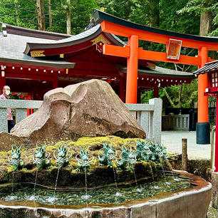 九頭龍神社新宮
箱根神社の境内にあり、本宮と同じく九頭龍神がお祀りされています。9つの龍の口から湧き出る水は龍神水と呼ばれ、恋愛運など運気アップの後霊水として有名で、ペットボトルに入れて持ち帰ることもてきます。