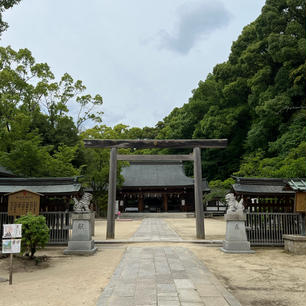 四條畷神社

大阪四條畷にある神社。楠公さん。
飯盛山に登る前にお詣りさせていただきました。
2024.6.8