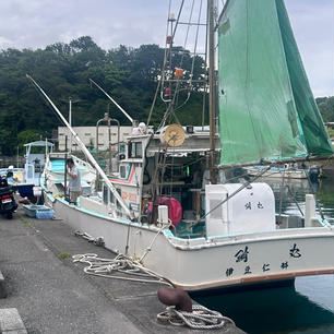 西伊豆で釣り🎣
イサキとアジとソーダガツオ
全部で55匹くらい釣れた🐟