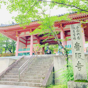 奈良　
壷阪寺

眼病封じのお寺

西国三十三観音巡礼
六番札所