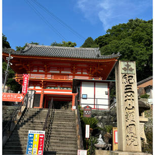 紀三井寺
和歌山市

（御詠歌）
『ふるさとをはるばるここに紀三井寺 花の都も近くなるらん』西国三十三所第2番札所。
桜の名所で、春は沢山の人々が訪れます。

参道に最近オープンしたハワイアンカフェ『GOLD Coffee』は人気すぎて平日でも大混雑！揚げたてのマラサダを食べれます。