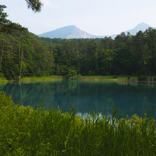 福島県にある五色沼に行ってきました。

いくつか沼があり、それぞれ色が異なることから五色沼の名前がついたようです。
ブルーの色がとても綺麗でした😊