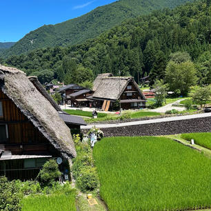 夏を感じられる世界遺産🌻