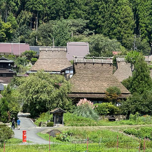 京都府美山かやぶきの里
茅葺の集落


#サント船長の写真