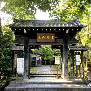 京都　常寂光寺

青紅葉も素敵なお寺
これからの秋にもう一度
行きたいな