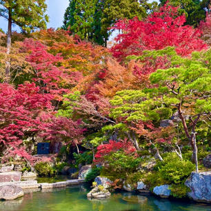 百済寺

滋賀の湖東三山
とても綺麗な庭園でした
石段を上がると本堂になり、
横の鐘楼をつかせていただきました
ありがたいのです♪
あと猫がかわいいです笑
2024.11.24