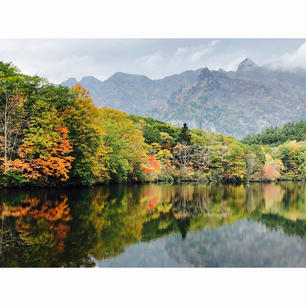 紅葉が始まりました🍁