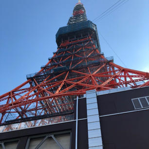 東京タワー🗼
修学旅行に行って以来〜😊

でっかかったぁ😆