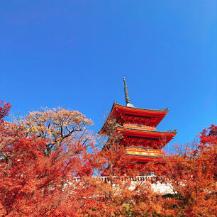 清水寺😊

お天気に恵まれて、素敵な写真が撮れた🥰‼️