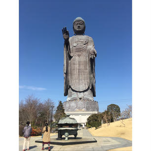 牛久大仏

大仏の中に近代的な展示や写経体験、展望台があります。外には動物と触れ合える所と見どころたくさんで行く価値ありです！