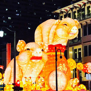 楽しみにしていた✨🏮春節🏮✨
イノシシは、ブタさん🐷なのね😆
Chinatownは今年も煌びやかでした❣️