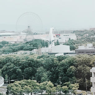 大阪万博公園
太陽の塔の後ろ姿🌞