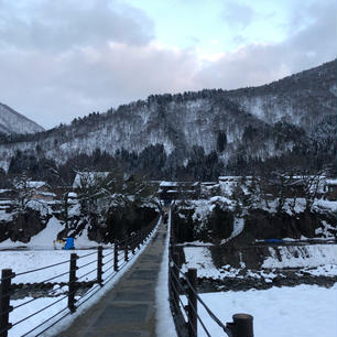 岐阜県
白川郷・五箇山の合掌造り集落