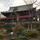 上野清水堂　月の松



#サント船長の写真  #東京　#上野公園