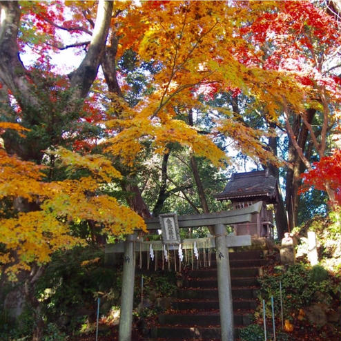 高尾山