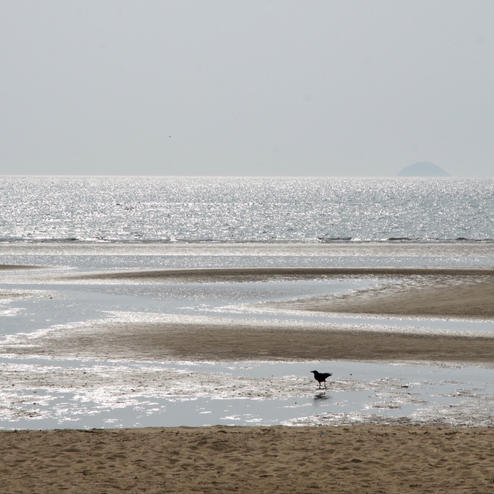 父母ヶ浜海岸