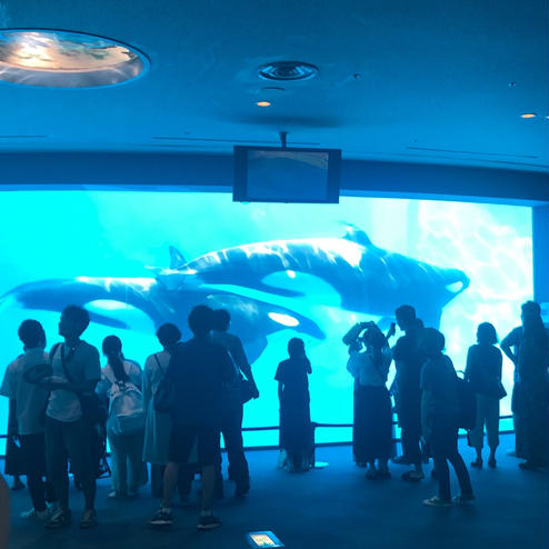 名古屋港水族館