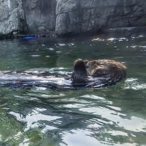 バンクーバー水族館