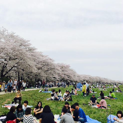 北上展勝地