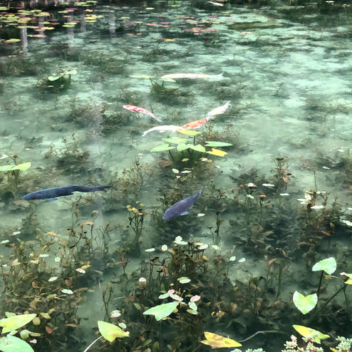 モネの池・根道神社