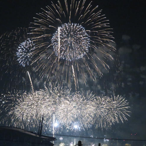 豊田おいでんまつり花火大会