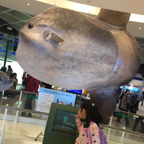 アクアワールド茨城県大洗水族館