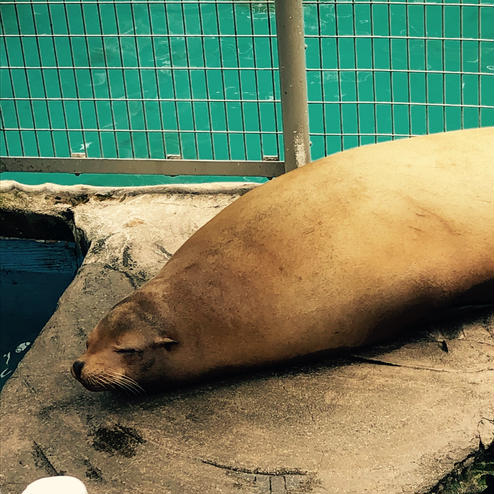 東山動植物園