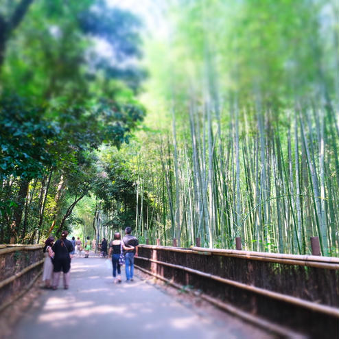 嵐山 竹林の小径