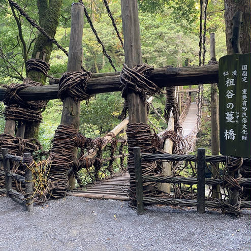 祖谷のかずら橋