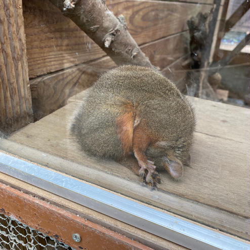 城山動物園